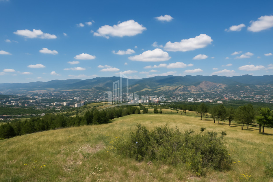 For Sale Land Koshigora Steet Dighmis Chala Saburtalo District Tbilisi