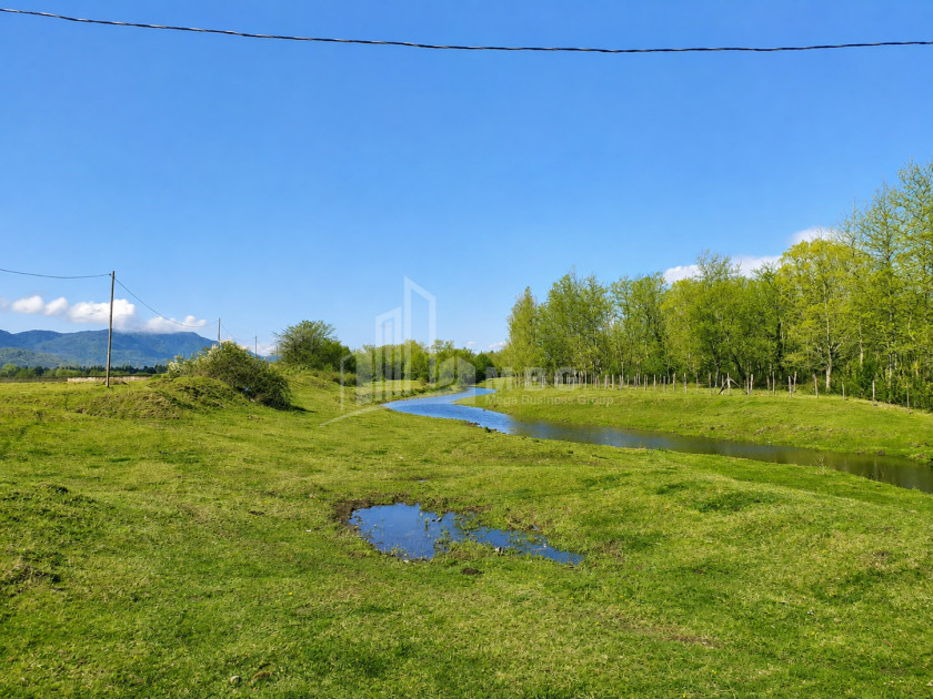 For Sale Orchards Land In Abasha
