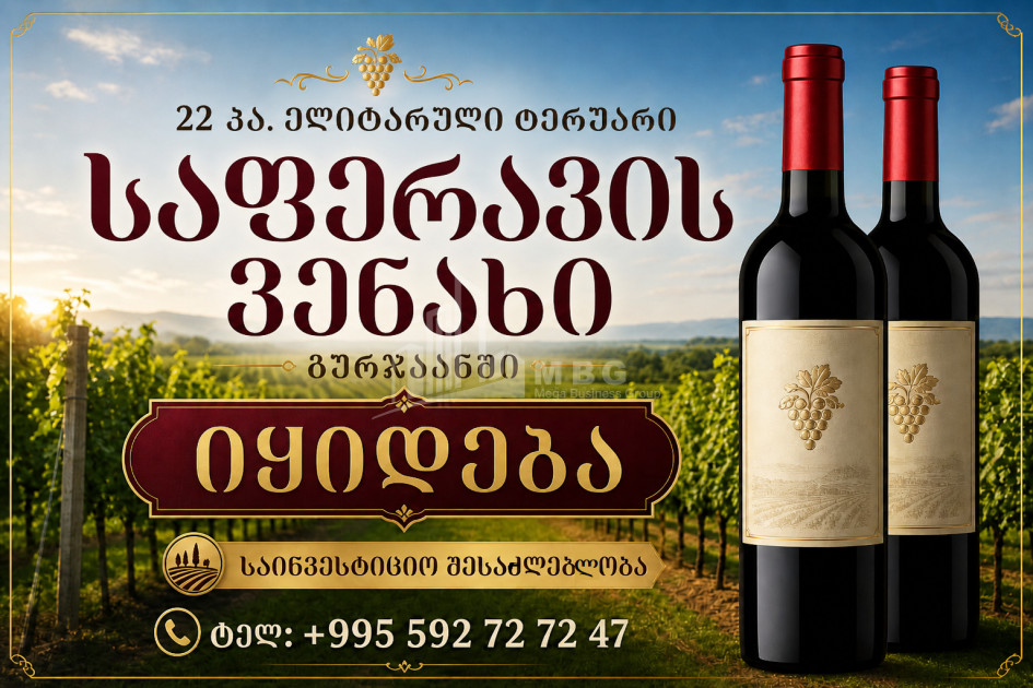 For Sale Vineyard - Chateau Land In Zegaani, Gurjaani