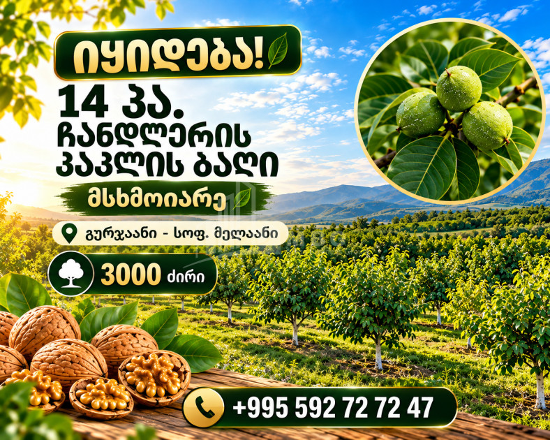 Продается Ореховый сад Земля В Мелани, Гурджаани