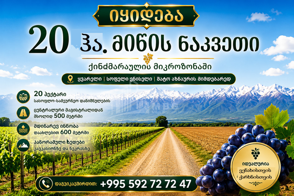 For Sale Vineyard - Chateau Land In Eniseli, Kvareli