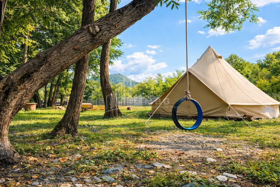 Business for sale Commercial Telavi Kakheti