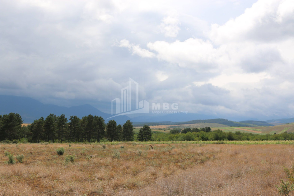 For Sale Country Land, in Daba Surami