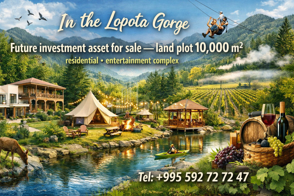 იყიდება ბიზნესი კომერციული ფართი თელავი კახეთი