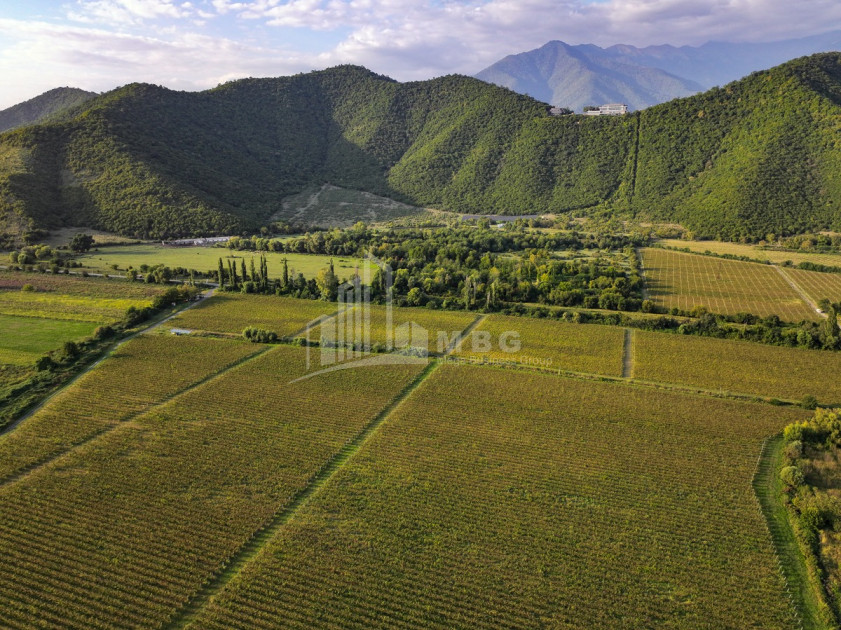 იყიდება მიწის ნაკვეთი ყვარელი კახეთი