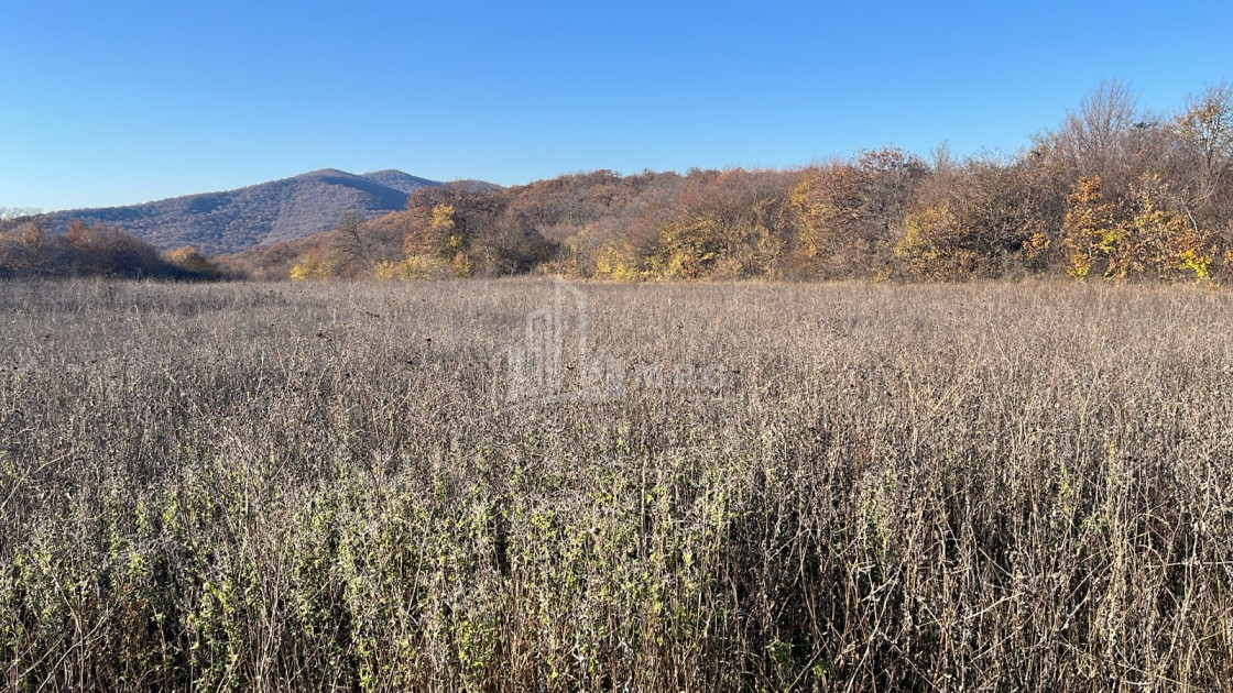 Продается Земля Базалети Душети Мцхета   Мтианети