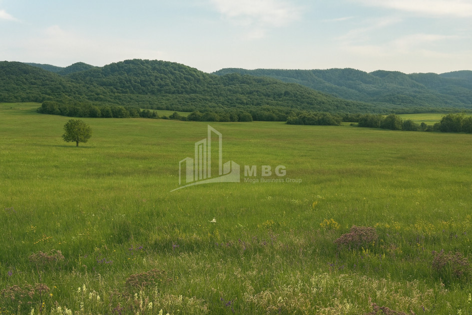 Продается Земля Гомбори Сагареджо Кахети