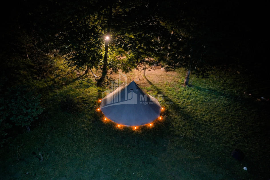 Business for sale Commercial Telavi Kakheti