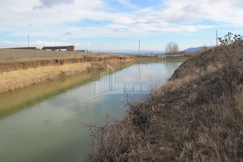 For Sale Orchards Land, in Kvemo Teleti