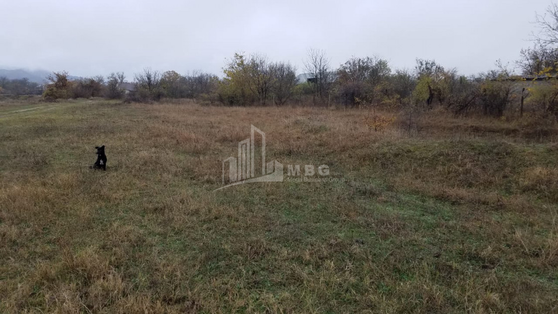 For Sale Country Land, in Tsinamdzgvriantkari