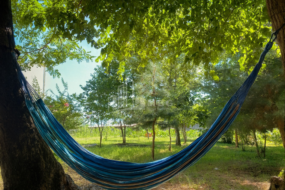 იყიდება ბიზნესი კომერციული ფართი თელავი კახეთი