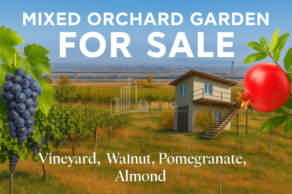 იყიდება მიწის ნაკვეთი სოფელი შაუმიანი მარნეული ქვემო ქართლი