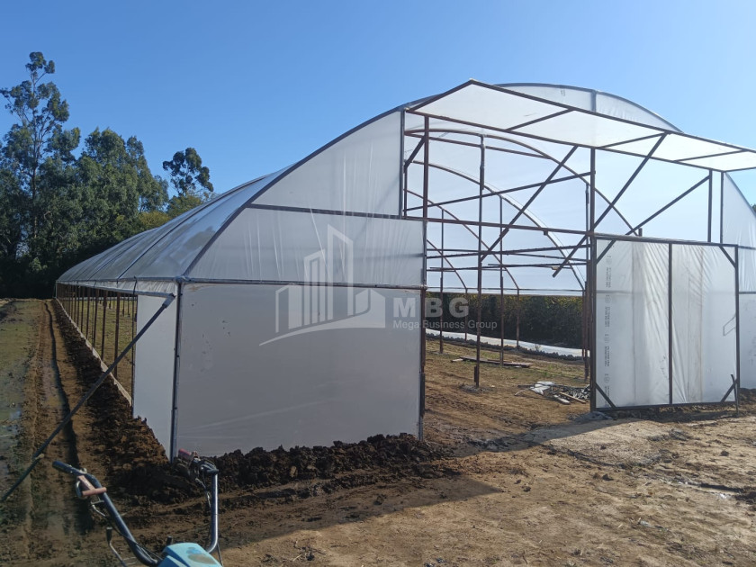 For Sale Land, Nosiri, Senaki, Samegrelo