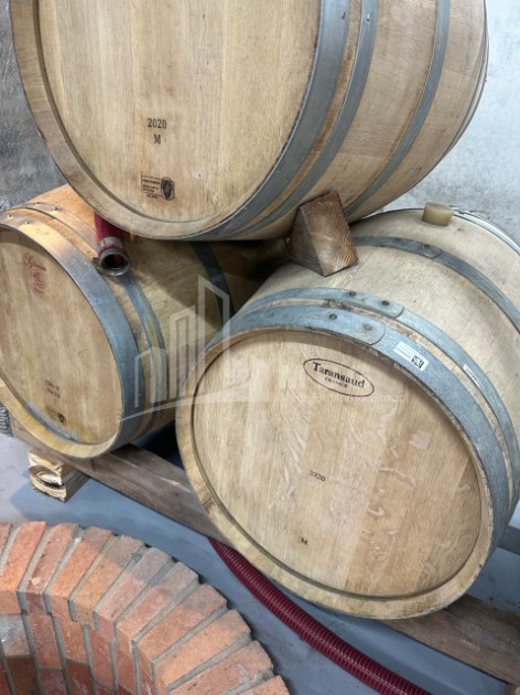 Продается Коммерческий Охио Ахмета Кахети