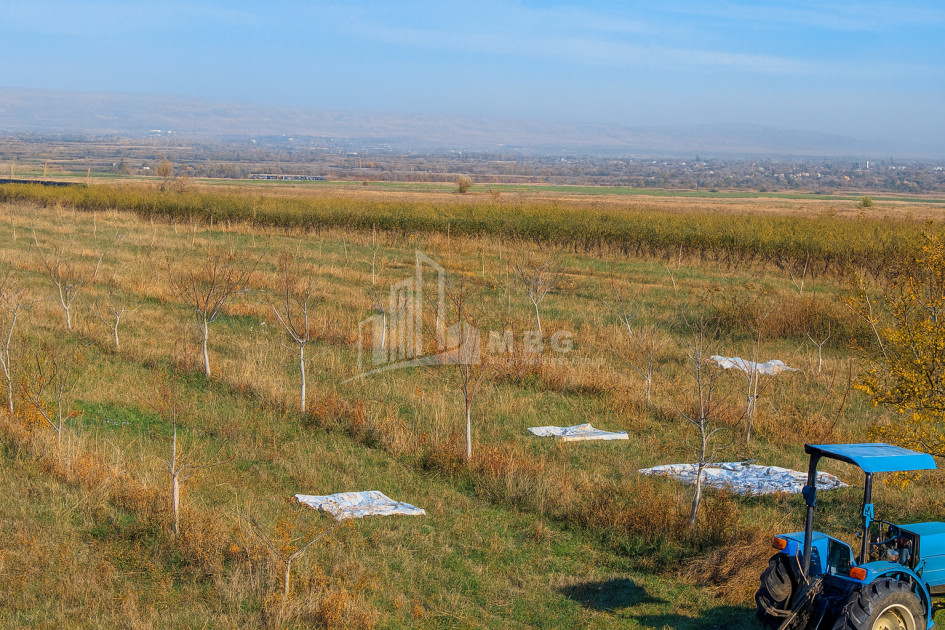 For Sale Land Village Shaumiani Marneuli Kvemo Kartli