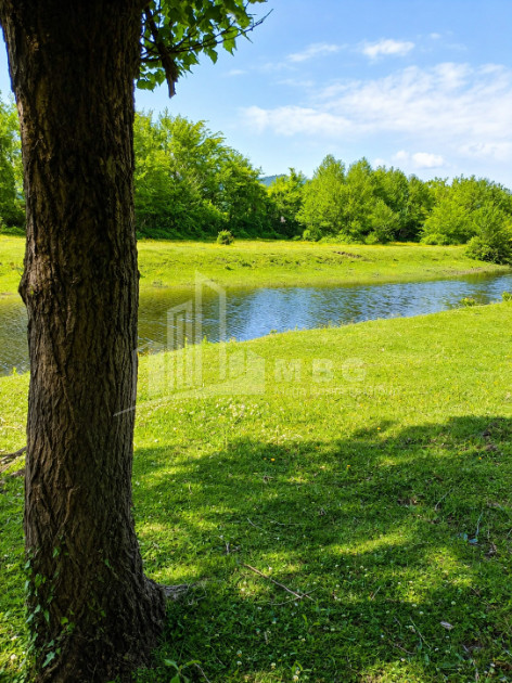 For Sale Orchards Land In Abasha