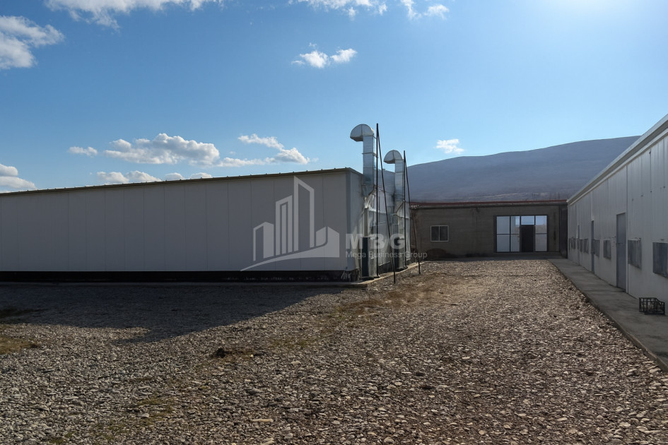 For Sale Commercial Okami Kaspi Shida Kartli