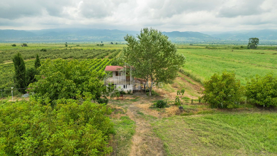 For Sale Land Kakheti