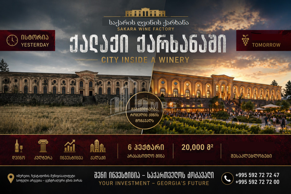 For Sale Chateau / Wine factory Commercial In the Village Argveta, Zestaponi