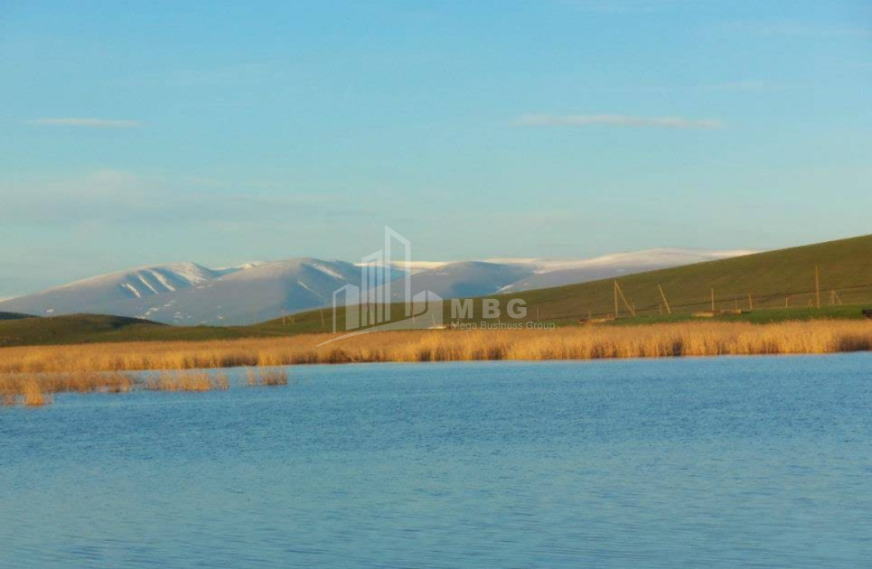 იყიდება მიწის ნაკვეთი წალკა ქვემო ქართლი