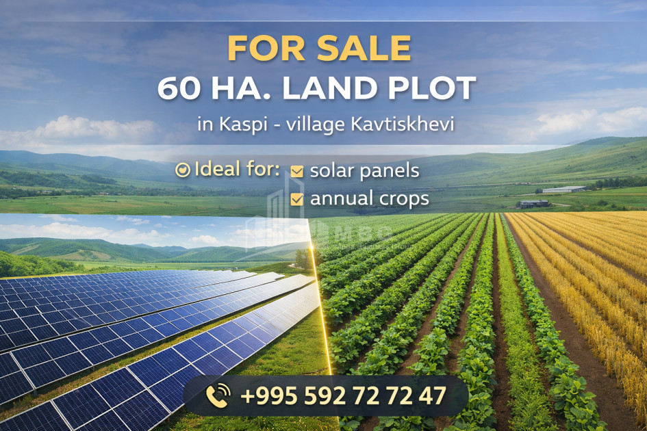 For-Sale-Land-Kavtiskhevi-Kaspi-Shida-Kartli