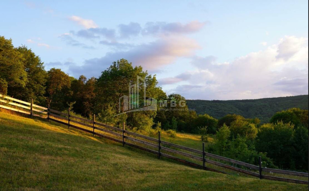 For Sale House - Villa, in Betania