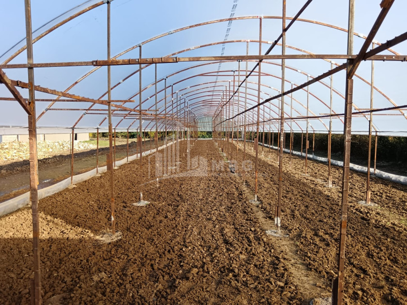 For Sale Land, Nosiri, Senaki, Samegrelo