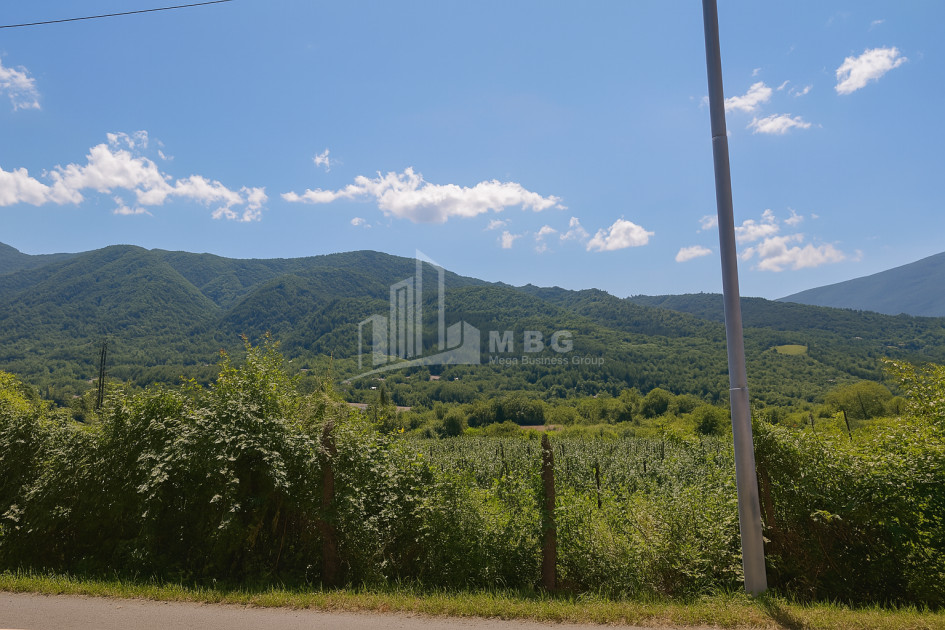For Sale Land Kvatskhuti Ambrolauri Racha   Lechxumi Kvemo Svaneti