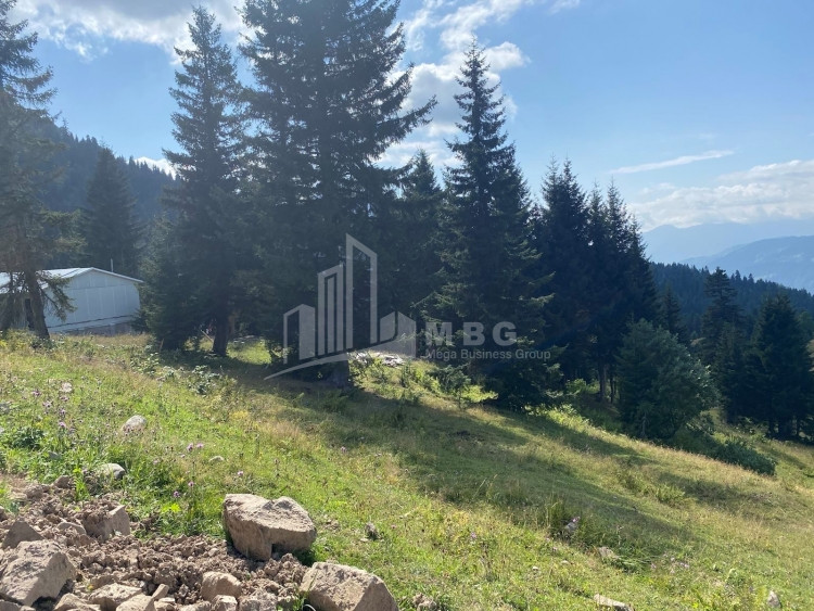 For Sale Country Land, in Khulo