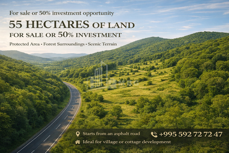 Продается Земля Череми Гурджаани Кахети