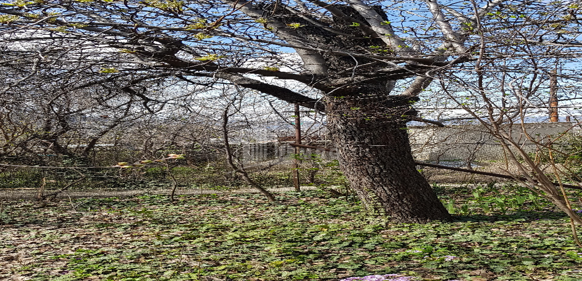 იყიდება სამოსახლო მიწის ნაკვეთი, სვანეთის უბანი