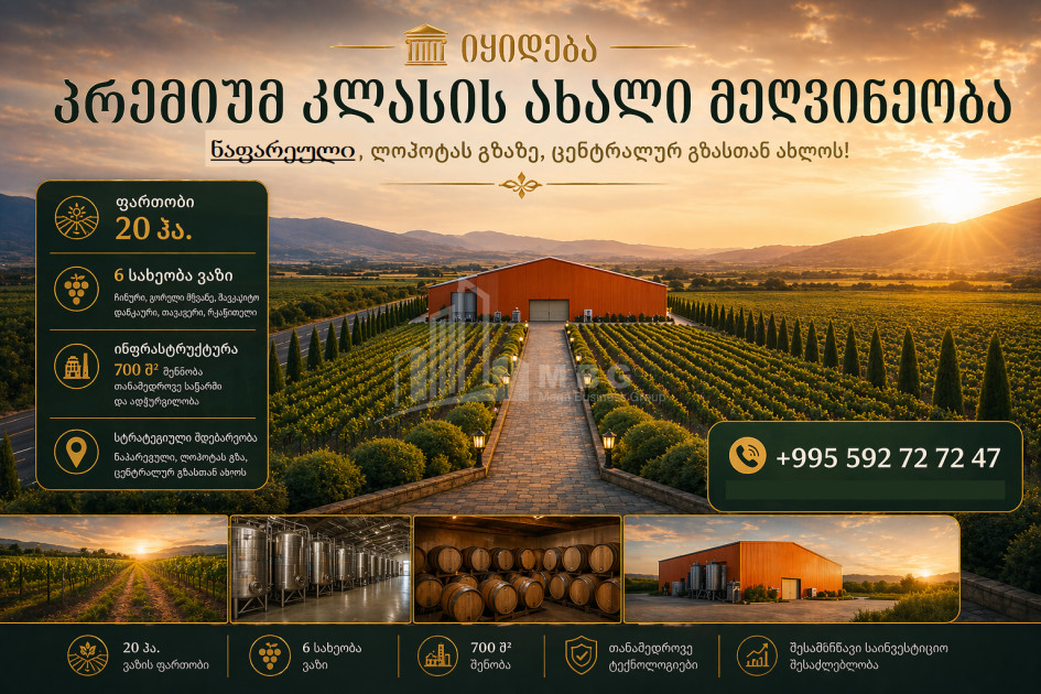 For Sale Vineyard - Chateau Land In Napareuli, Telavi