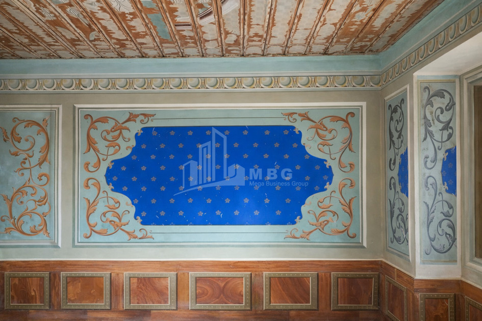 For Sale Old building House - Villa In Dzalisi, Mtskheta