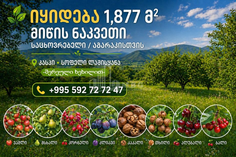 Продается Дачные Земля В Ламискане, Каспси