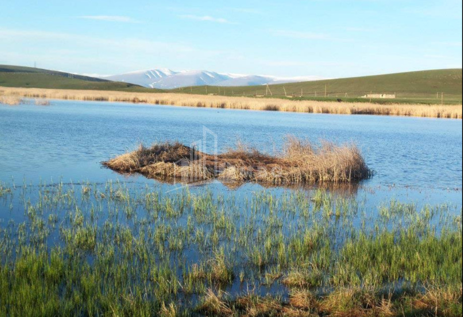 იყიდება მიწის ნაკვეთი წალკა ქვემო ქართლი