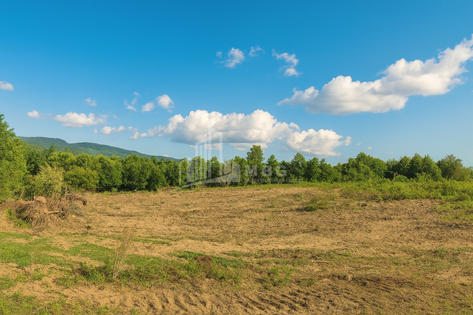 For Sale Land Eki village Senaki Samegrelo   Upper Svaneti