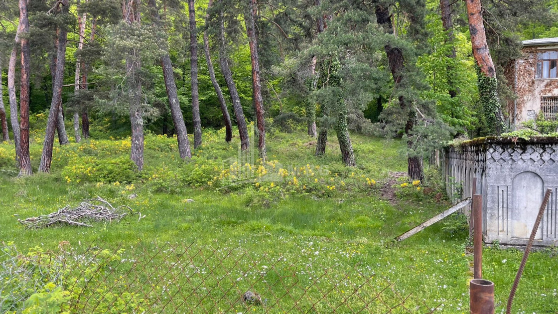 იყიდება სააგარაკე მიწის ნაკვეთი, ონი