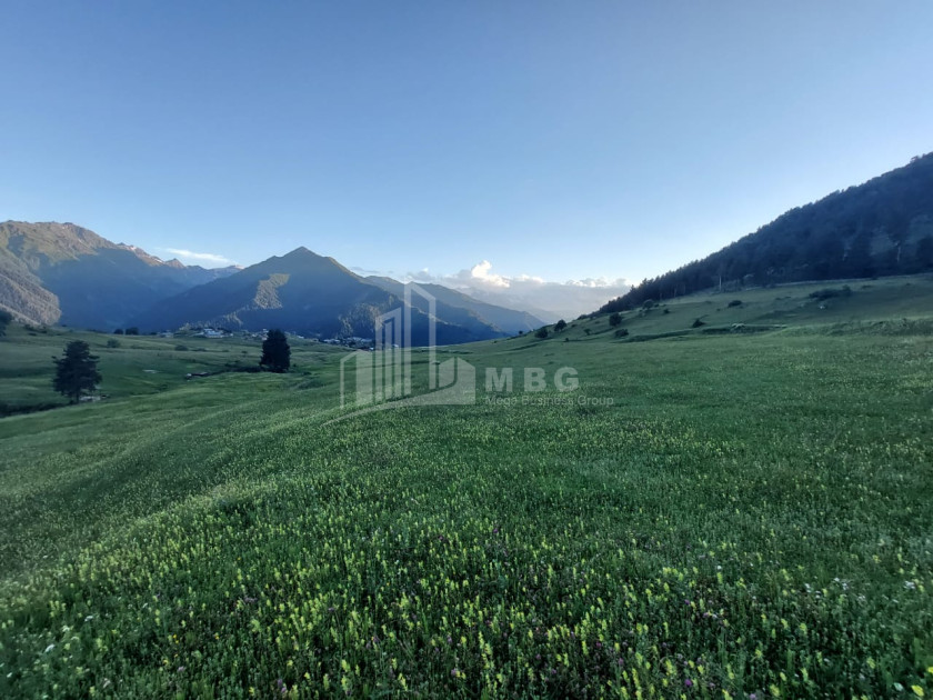 For Sale Land Tsvirmi Mestia Samegrelo   Upper Svaneti