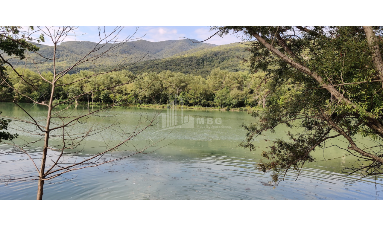 For Sale Lake - Fishing farm Land, in Gombori