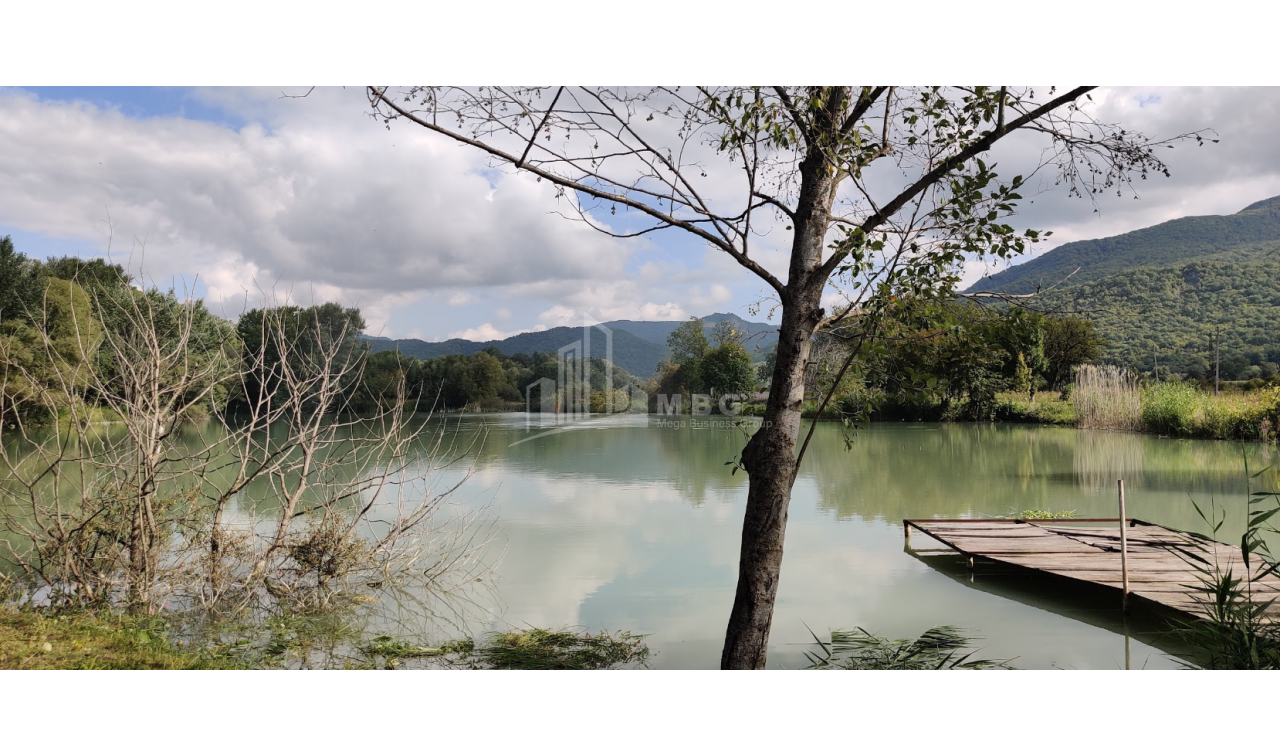 For Sale Lake - Fishing farm Land, in Gombori