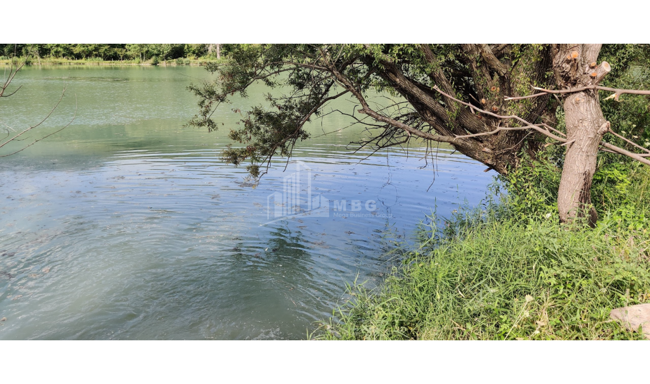 For Sale Lake - Fishing farm Land, in Gombori
