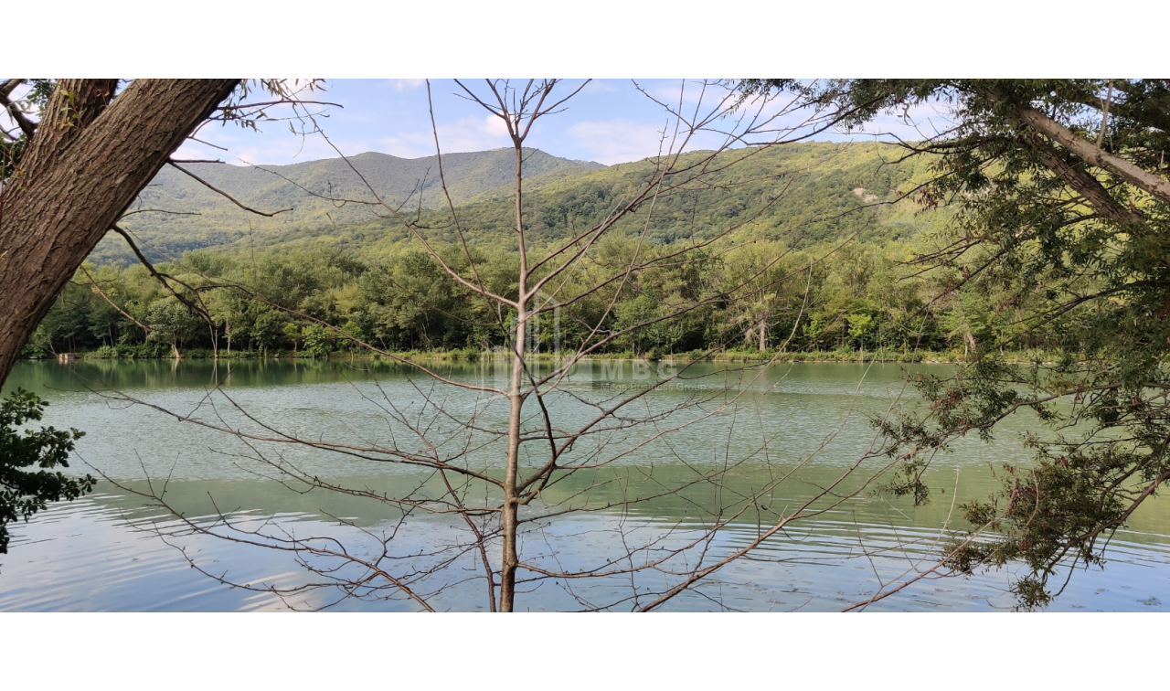 For Sale Lake - Fishing farm Land, in Gombori
