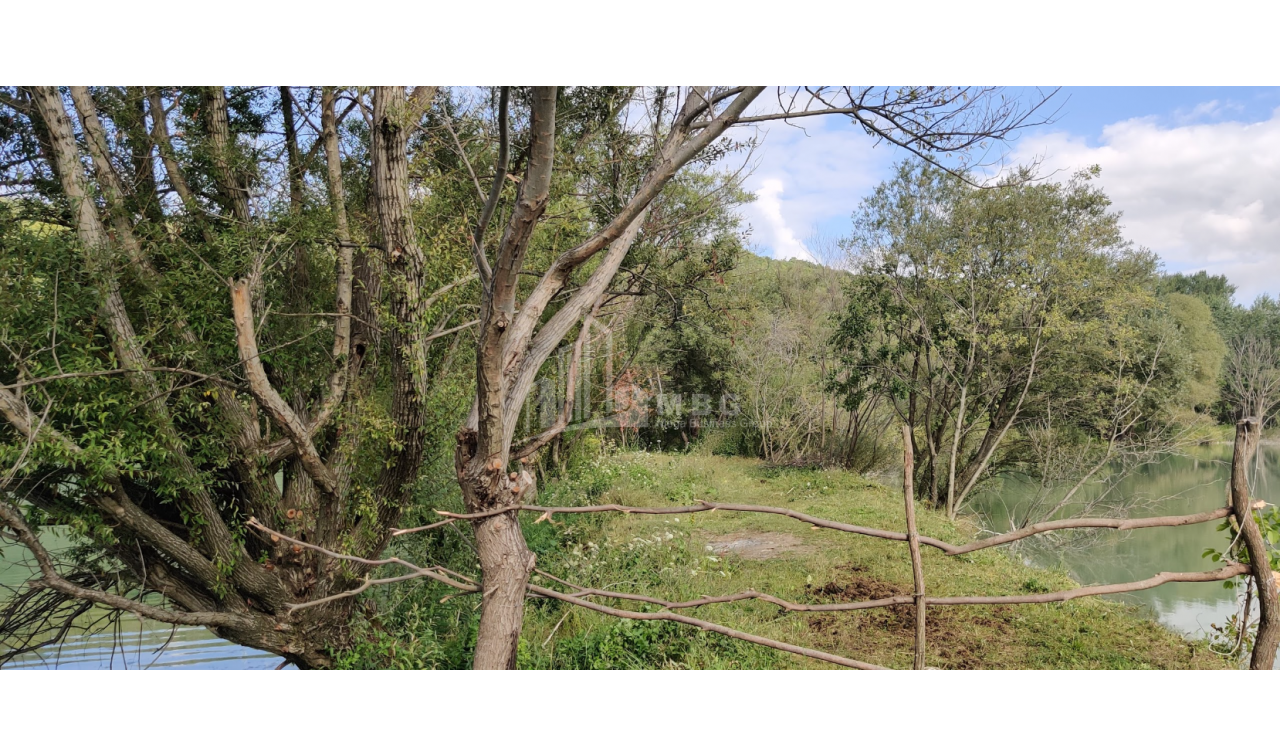 For Sale Lake - Fishing farm Land, in Gombori