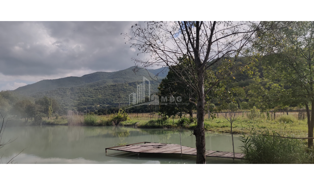 For Sale Lake - Fishing farm Land, in Gombori