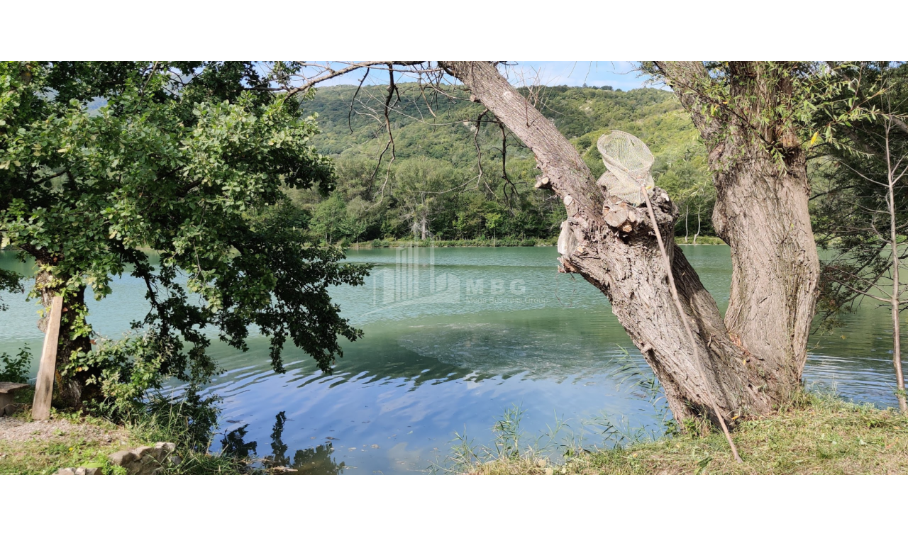 For Sale Lake - Fishing farm Land, in Gombori
