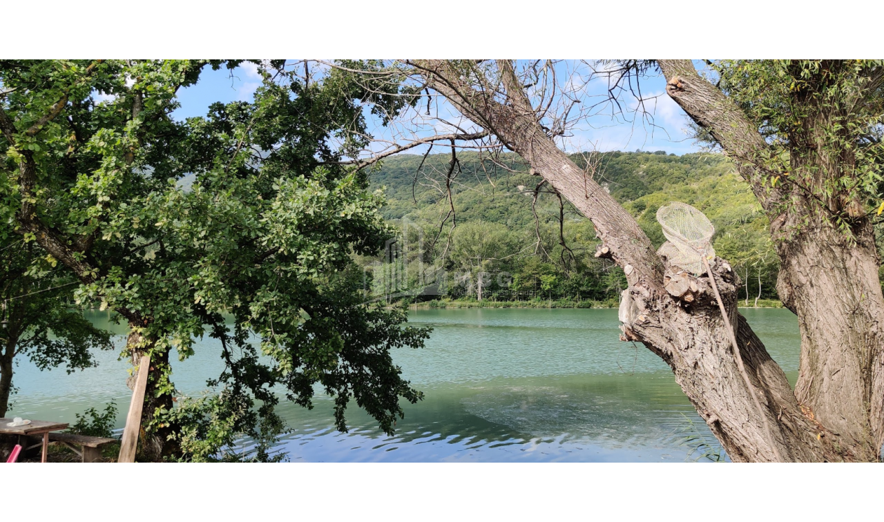 For Sale Lake - Fishing farm Land, in Gombori