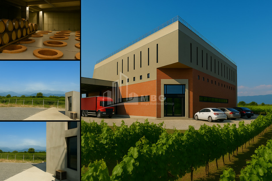 Продается Коммерческий Охио Ахмета Кахети