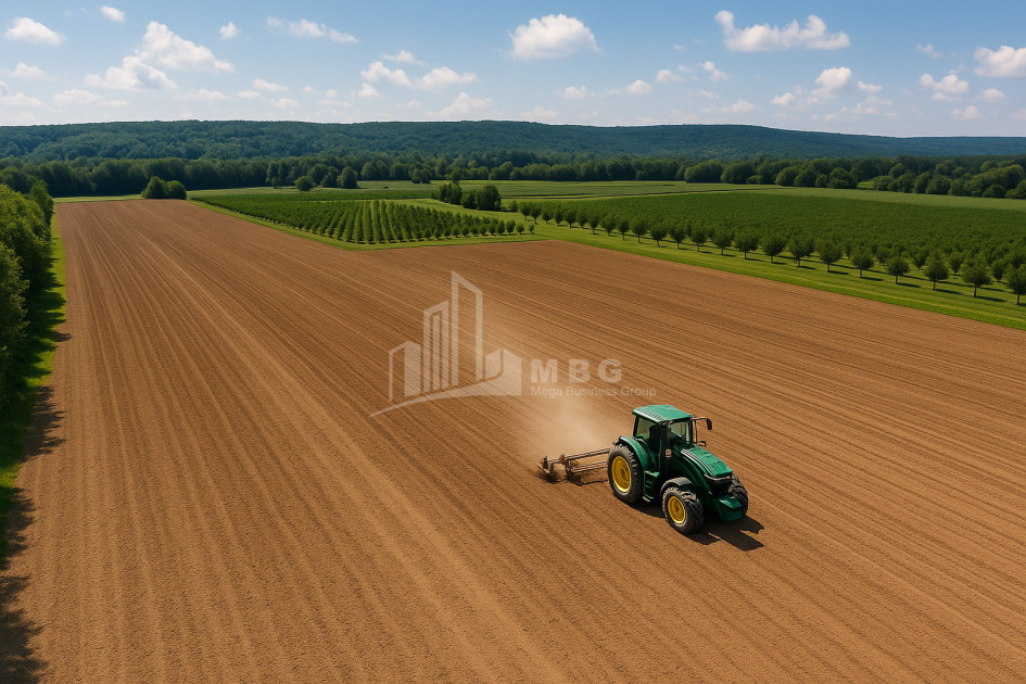 იყიდება მიწის ნაკვეთი ნაცარგორა ხაშური შიდა ქართლი