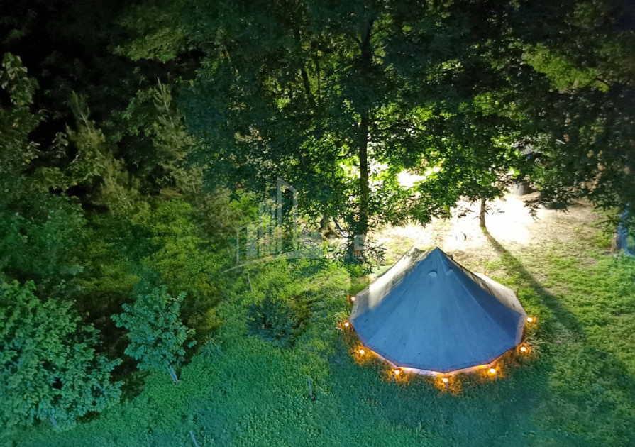 Business for sale Commercial Telavi Kakheti