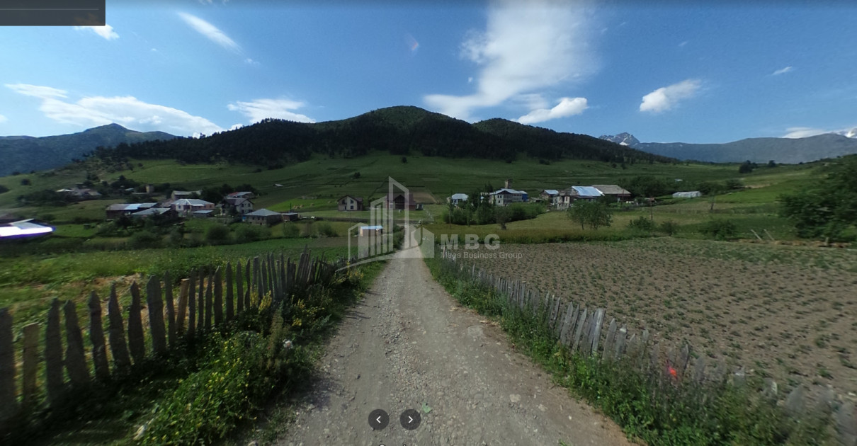 იყიდება სააგარაკე მიწის ნაკვეთი, წვირმი